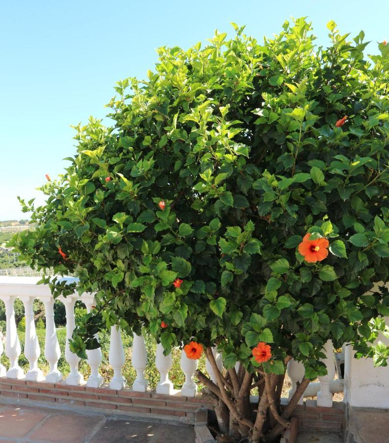 Villa Sunshine Countryside Resort فريجيليانا المظهر الخارجي الصورة